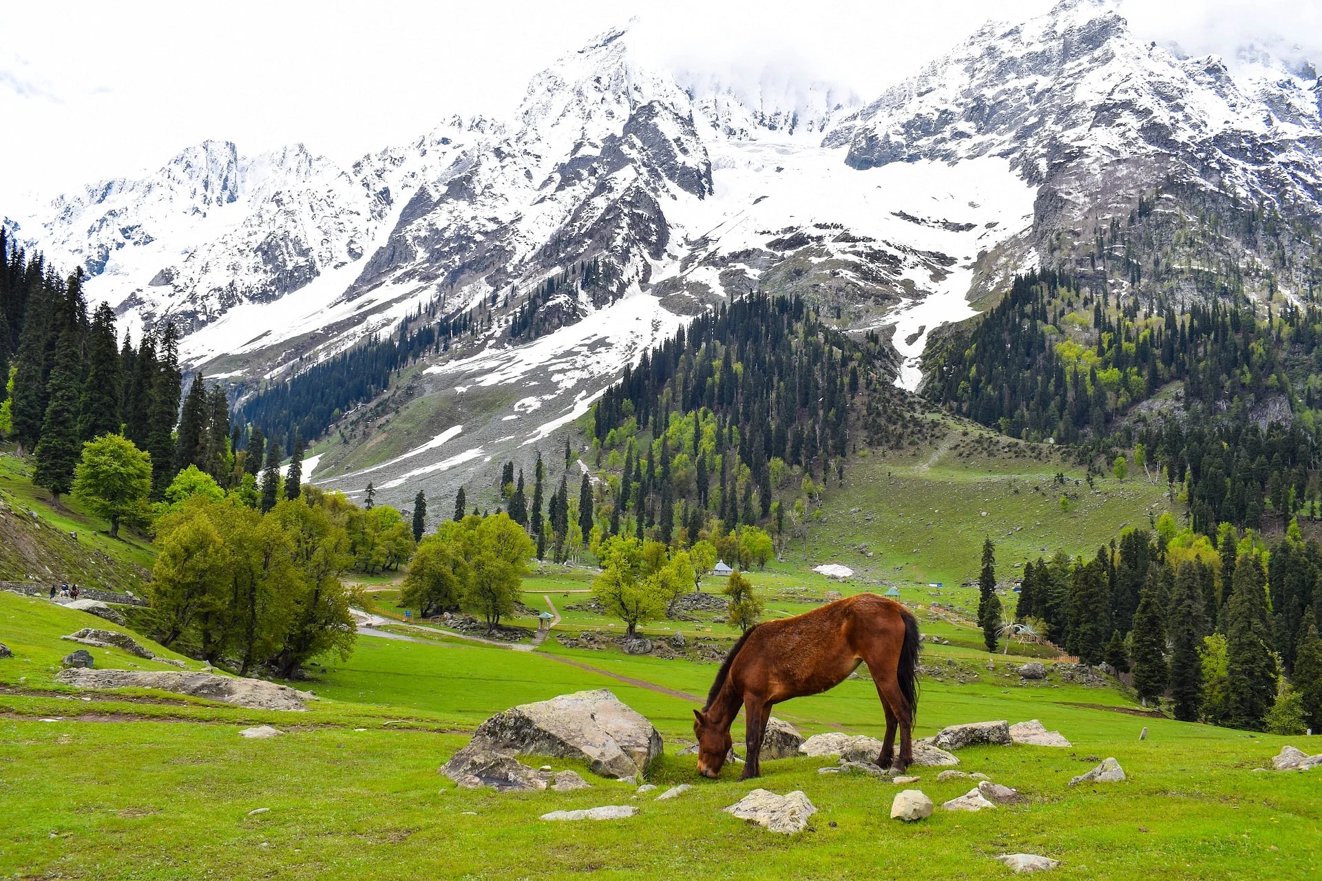 Jammu & Kashmir Tour Package 2025