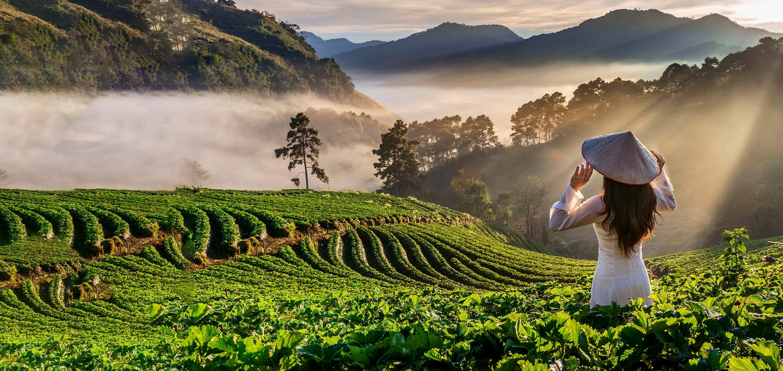 Vietnam Trip Cost from India