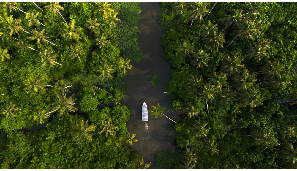 5 Nights 6 Days Kerala Honeymoon Tour Packages